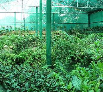 Green House project / STEM Education