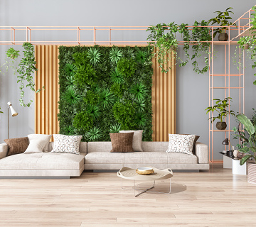 Home Accessories