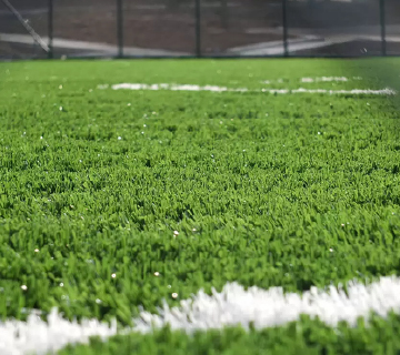Grass